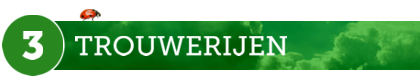 Trouwerijen