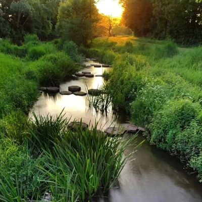 vensterbaankiesroute-vistrap